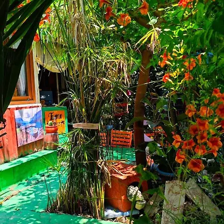 Tuana Garden Bed & Breakfast