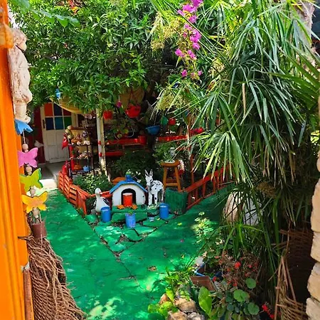 Tuana Garden Bed & Breakfast *