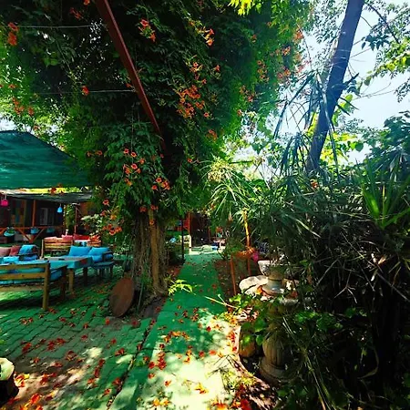Tuana Garden Bed & Breakfast *